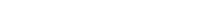 Superintendencia de Seguros de la Nación (SSN)